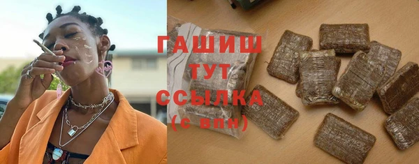 хмурый Аркадак