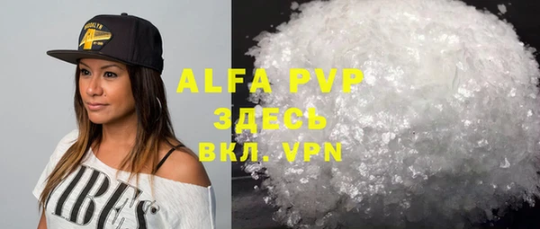 хмурый Аркадак