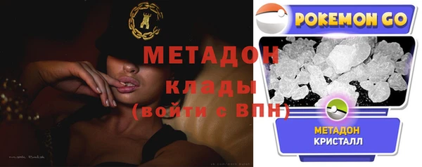 хмурый Аркадак