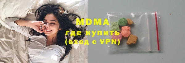 хмурый Аркадак
