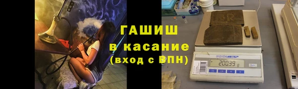 хмурый Аркадак