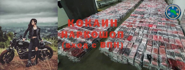 хмурый Аркадак