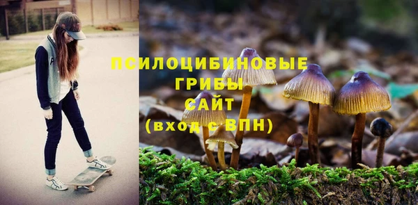 гашиш Арсеньев