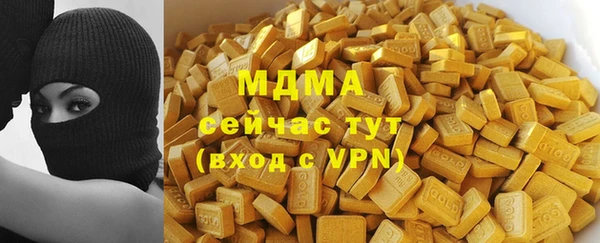 хмурый Аркадак