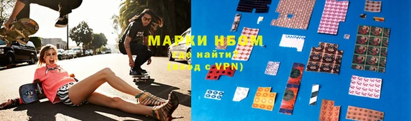 хмурый Аркадак